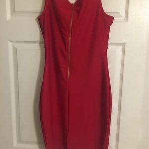 Red Wine dress